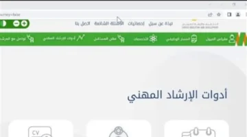 أزمة ضياع الطرود.. لماذا يجب تحديث رقم هاتفك في منصة سبل 2026؟